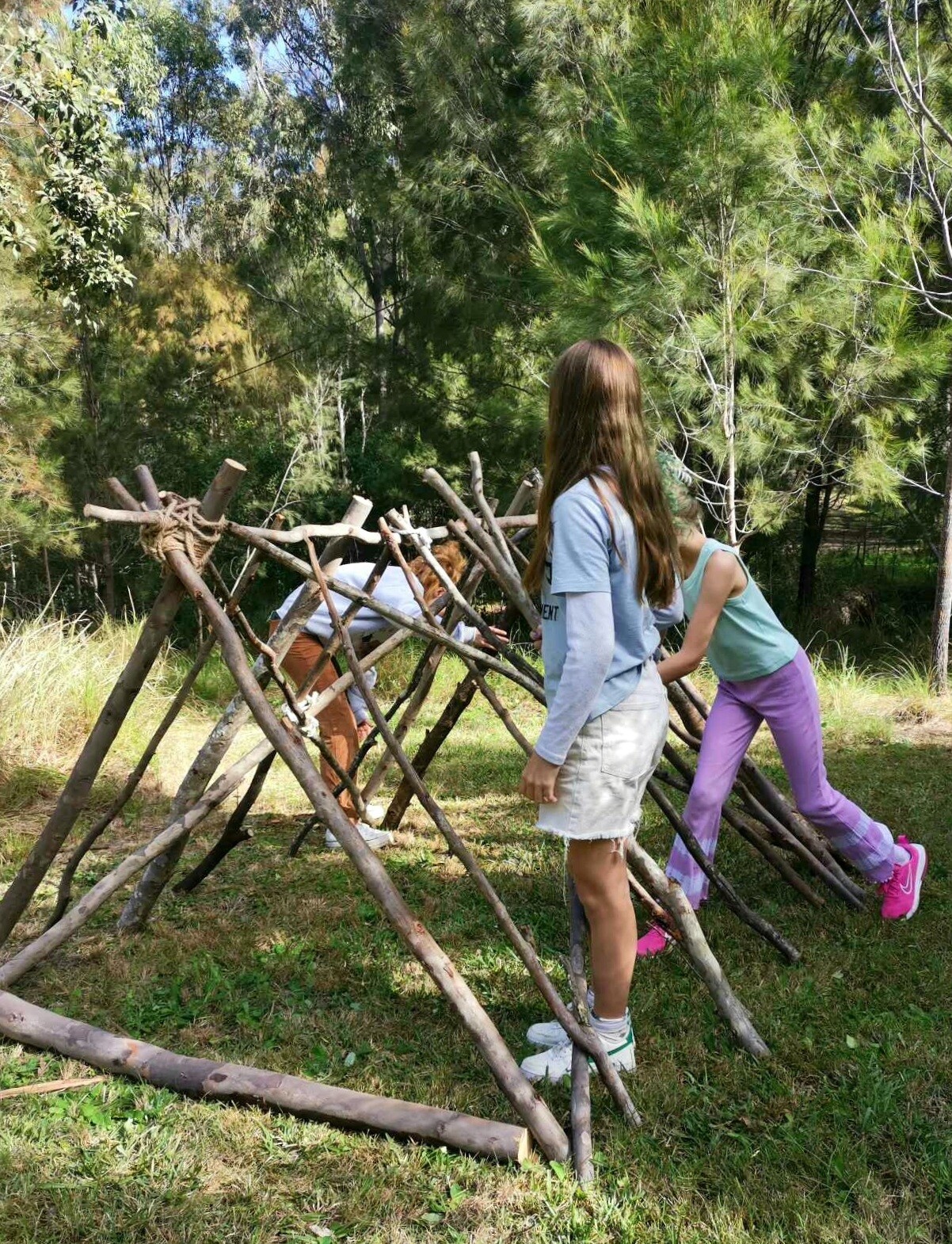 Messenger_creation_d84a83e4-245c-4af4-a49b-2834544028bc